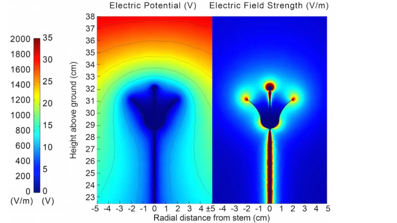Simulation of a bumblebee